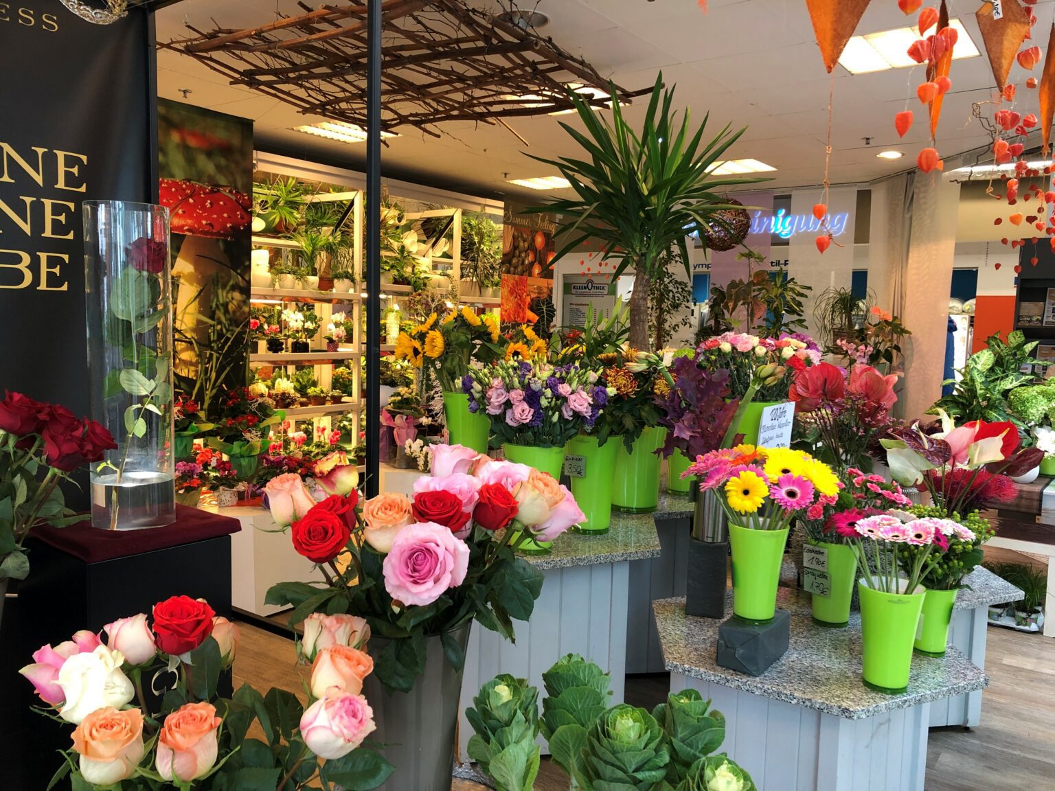Kontakt Ihr Blumenfachgeschäft in Zwickau